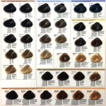 Bes Hi-Fi Color Haarfarbe – 100 Ml Kastanienbraun Mit Kupfergoldenen Reflexen, Für Natürlichen Look & Weißhaarabdeckung