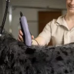 Wahl KM10+ Állatszőrnyíró Animal Clipper 3027127 Szürke, vezetékes