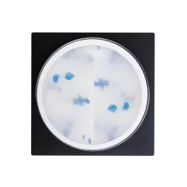 Perfect Nails Flower Gel - Blue - 5g