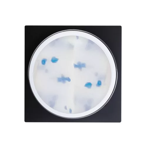 Perfect Nails Flower Gel - Blue - 5g