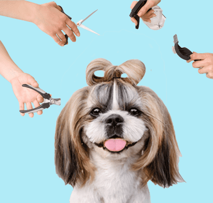 Wahl professzionális állatszőrnyírók- Precizitás minden vágásban!